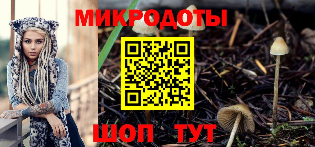 Галлюциногенные грибы Cubensis  Псилоцибиновые грибы мицелий  Коломна  Вход с VPN 